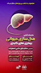 کارگاه آنلاین مدل سازی حیوانی بیماری‌های کبدی