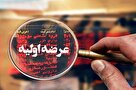 پیش‌بینی عرضه اولیه سهام شرکت تولید انرژی برق شمس پاسارگاد و تحلیل نظرات مختلف سرمایه‌گذاران