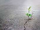 زندگی پس از جنگ، چالش‌های روانی و راه‌های بازگشت به آرامش