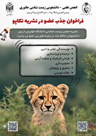 مأموریت تولید محتوای علمی