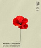 وب نشست، یادبود نوزاد از دست رفته