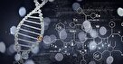 پزشکی شخصی‌سازی شده: انقلابی در درمان با رویکردهای نوین مبتنی بر ژنتیک